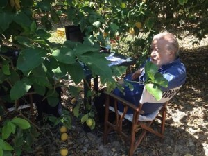 Il regista Pupi Avati all'ombra dei limoni